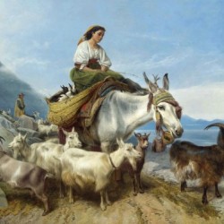 A woman riding a horse